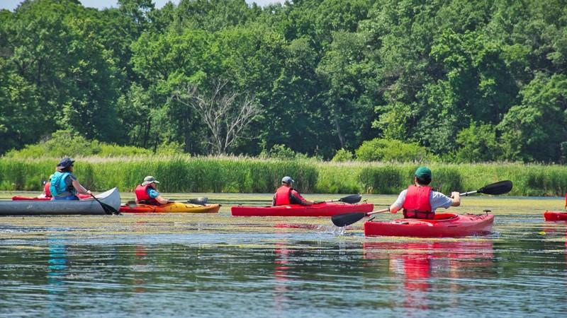 Kayak Eco Safari