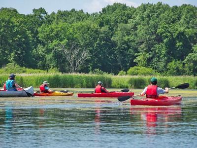 Guided Kayaking and Camping Trips